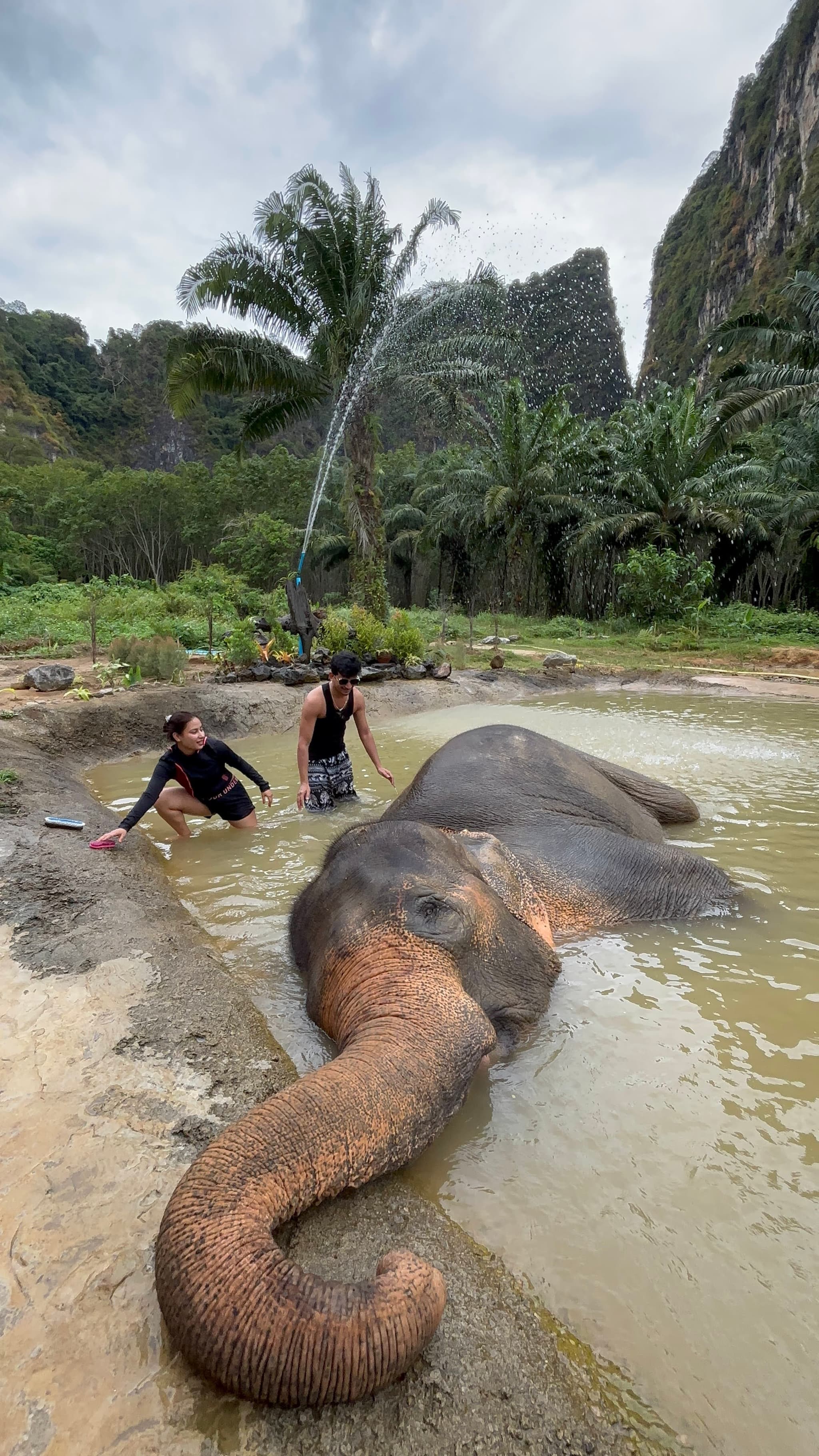 Interactive elephant bathing experience
